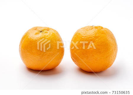 Mandarin orange cut back clipping path orange isolated 蜜橘みかん 切り抜き 73150635