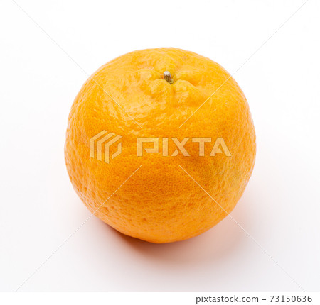 Mandarin orange cut back clipping path orange isolated 蜜橘みかん 切り抜き 73150636