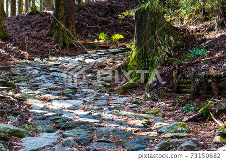 Hakone Old Road 73150682