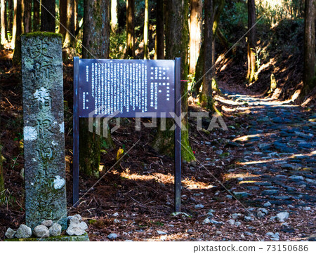 Hakone Old Road 73150686