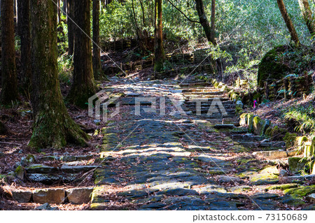 Hakone Old Road 73150689