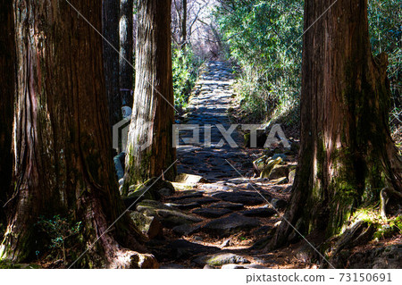 Hakone Old Road 73150691