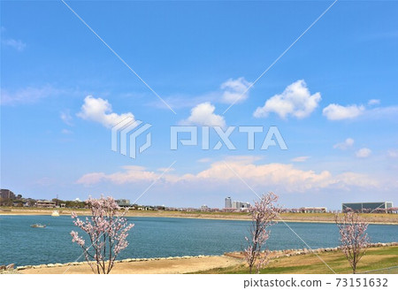 大阪Sa山市Sa山池塘春天的景色 大阪Sa山市Sa山池塘春天的景色 73151632
