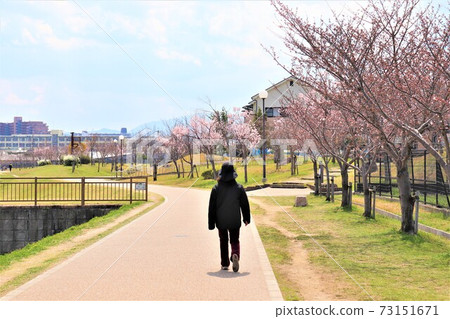 大阪Sa山市Sa山池塘春天的景色 73151671