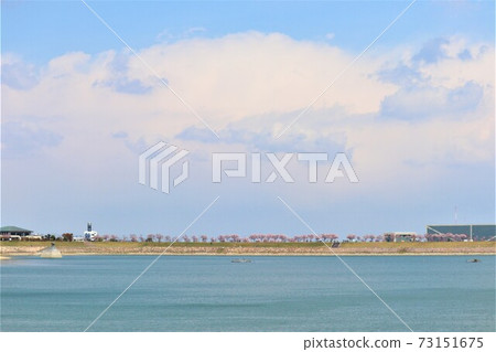 大阪Sa山市Sa山池塘春天的景色 大阪Sa山市Sa山池塘春天的景色 73151675