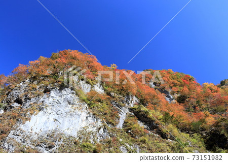 Befu Gorge Gorge Biwaiwa秋天（高知縣） 73151982