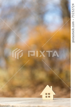 Small wooden house 73152724