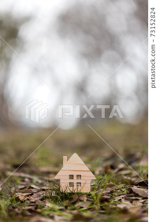 Small wooden house 73152824