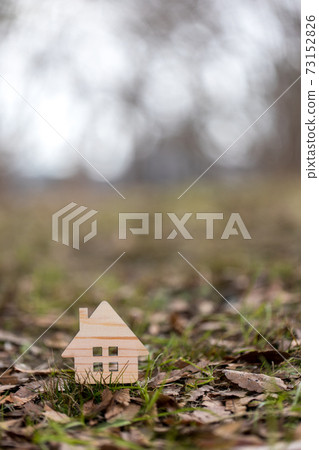 Small wooden house 73152826