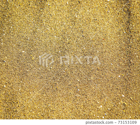 Yellow sand closeup as texture. Selective focus 73153109