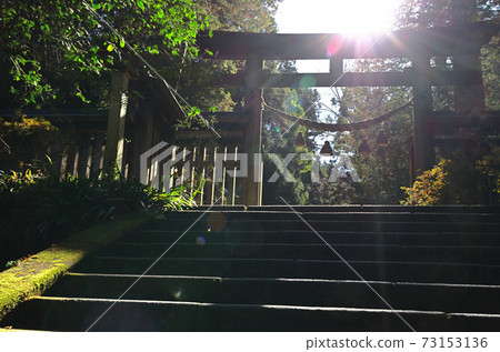 武藏國二宮,近祖神社的光路 武藏國二宮,近祖神社的光路 73153136