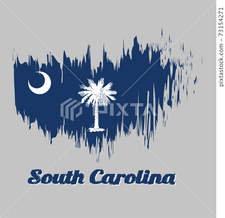 Brush style color flag of South Carolina, with text South Carolina. 73154271