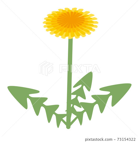 蒲公英矢量插畫 蒲公英矢量插畫 73154322