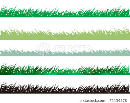 Lawn grass meadow variation set 73154378