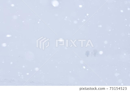 一棵樹,站在飄落的雪花 一棵樹,站在飄落的雪花 73154523