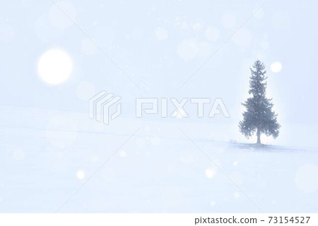 站立在多雪的領域的小山的聖誕樹 站立在多雪的領域的小山的聖誕樹 73154527