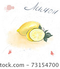 Watecolor background fresh limon with green leaves. Food element for your design. 73154700