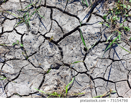 Dry cracked soil ground texture background. Dry grass lawn texture Dry cracked soil ground texture background. Dry grass lawn texture 73154798