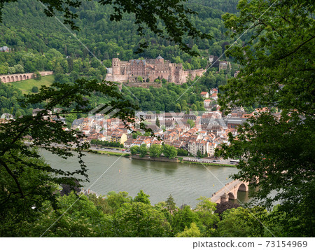 View of the castle and the city of Heidelberg 73154969
