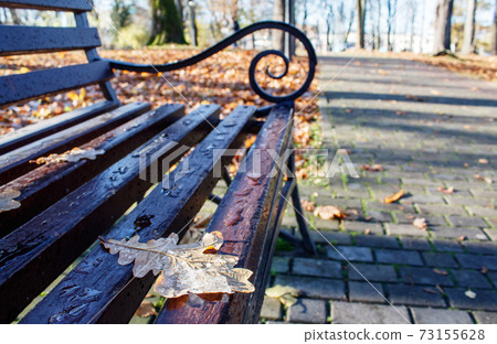 brown wooden bench 73155628