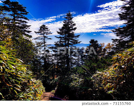 三嶽山的山坡上的風景 73155760