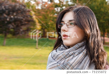 portrait of a young girl in the park in autumn portrait of a young girl in the park in autumn 73155872