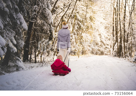 Mother pulling baby on a sled through winter forest. 73156064
