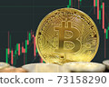 Golden Bitcoin on Crypto Currency Exchange Graph 73158290