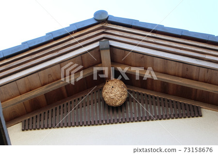 Wasp nest made under the eaves 73158676