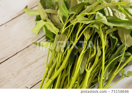 Ensai (Okinawa dialect: Unche) 73158686