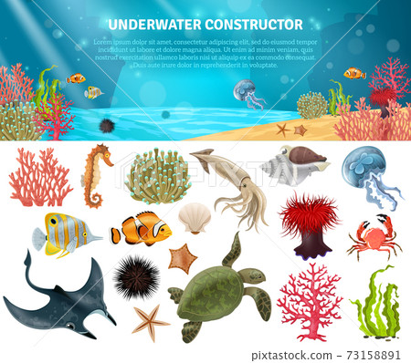 Sea Life Constructor Isolated Icons Set Sea Life Constructor Isolated Icons Set 73158891