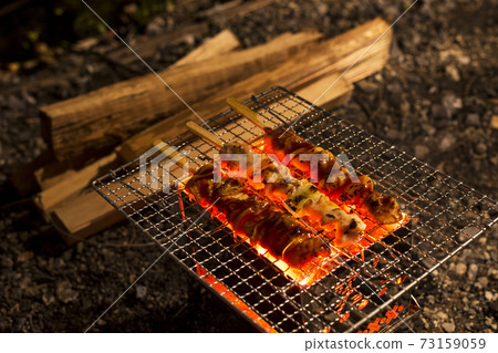 營地的木炭烤雞肉串 73159059