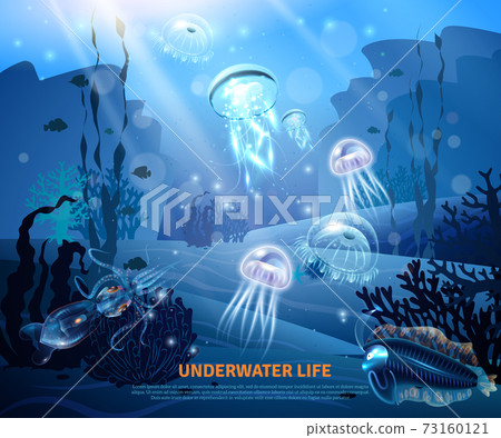 Underwater Life Background Light Poster 73160121