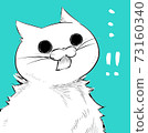 A cat with wide open eyes 73160340