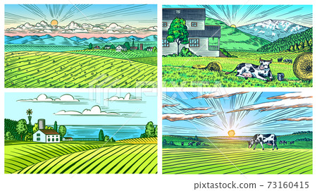 Rural meadow. A village landscape with cows,... - Stock Illustration ...