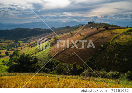 Rice terrace field in Ban Pa Bong Piang village in Mae Chaem District, Chiang Mai Province, Thailand Rice terrace field in Ban Pa Bong Piang village in Mae Chaem District, Chiang Mai Province, Thailand 73161682