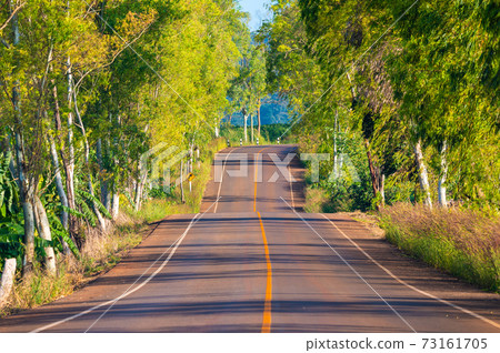 Tree lined winding road in countryside of Thailand Tree lined winding road in countryside of Thailand 73161705
