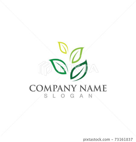 green leaf ecology nature element vector image - Stock Illustration ...