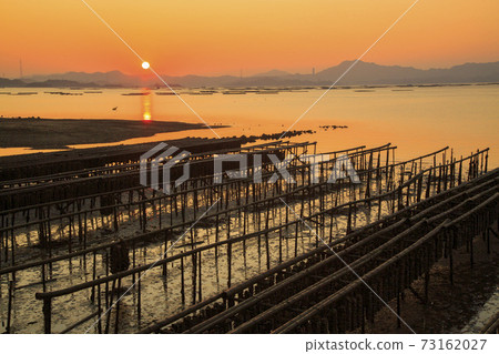 View of sunrise in Setouchi lined with oyster rafts View of sunrise in Setouchi lined with oyster rafts 73162027