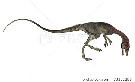 Compsognathus dinosaur walking - 3D render 73162298