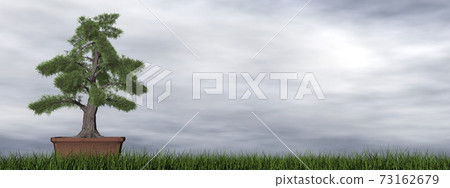 Temple juniper tree bonsai - 3D render Temple juniper tree bonsai - 3D render 73162679