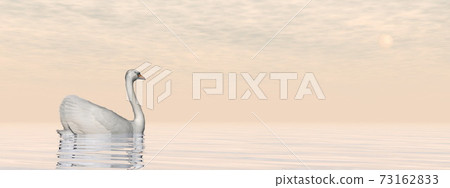 Peaceful swan - 3D render Peaceful swan - 3D render 73162833