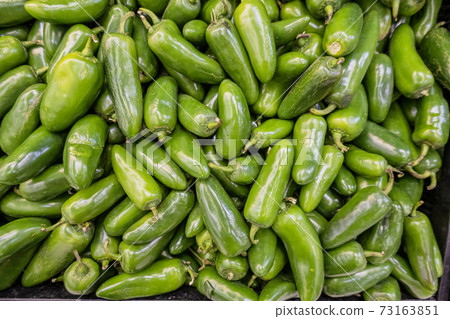 Green pablano chilis in a pile ready for sale Green pablano chilis in a pile ready for sale 73163851