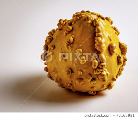 Decorative Gourd on white 73163981