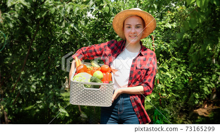 Smiling girl in hat walking in arden with harvest in big box. Fresh, ripe organic vegetables in box. Concept of small business and growing organic vegetables at backyard garden Smiling girl in hat walking in arden with harvest in big box. Fresh, ripe organic vegetables in box. Concept of small business and growing organic vegetables at backyard garden 73165299
