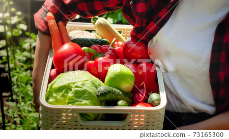 Closeup of woman carryoing box full of of ripe organic vegetables. Concept of small business and growing organic vegetables at backyard garden Closeup of woman carryoing box full of of ripe organic vegetables. Concept of small business and growing organic vegetables at backyard garden 73165300