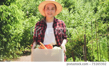 Smiling woman in hat holding box with ripe organic vegetables and walking in garden. Concept of small business and growing organic vegetables at backyard garden Smiling woman in hat holding box with ripe organic vegetables and walking in garden. Concept of small business and growing organic vegetables at backyard garden 73165302