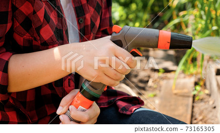Closeup of female gardener holding and using water hose while water growing green organic cabbage growing in backyard garden Closeup of female gardener holding and using water hose while water growing green organic cabbage growing in backyard garden 73165305