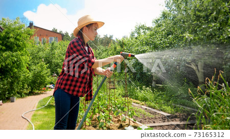 Young smiling girl watering garden from garden hose on hot summer day. Woman watering growing plants and working at backyard 73165312