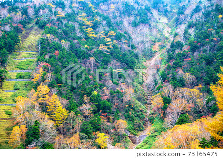 Nikko autumn leaves scenery autumn scenery scenery from Route 120 Tochigi prefecture side 73165475